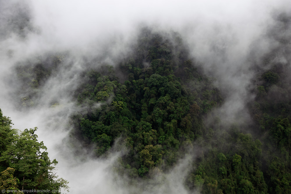 bhutan landscapes