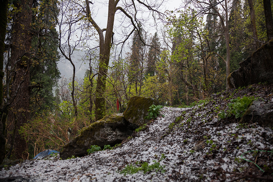 GHNP landscape hail rain