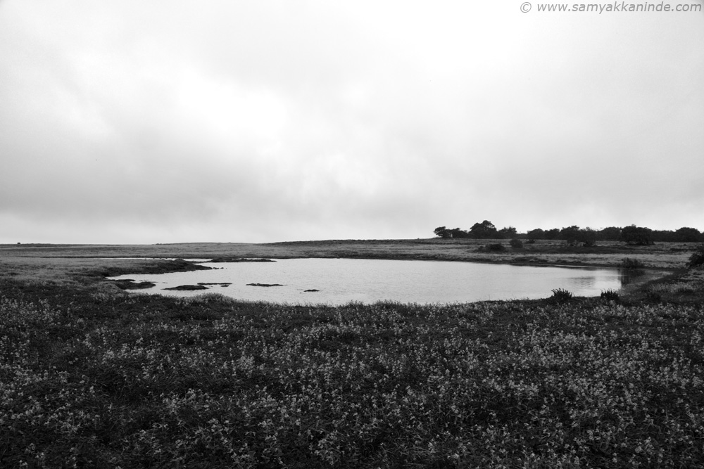 kaas pond landscape